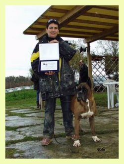 allevamento_cani_boxer_degli_scarronzoni_cuccioli_disponibili_livorno_toscana_italia