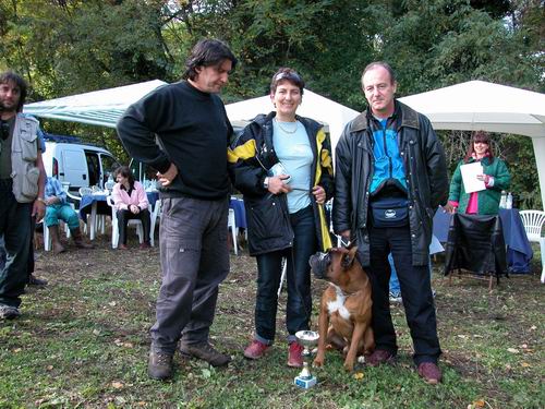 allevamento_cani_boxer_degli_scarronzoni_cuccioli_disponibili_livorno_toscana_italia