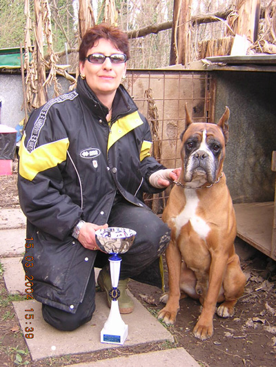 allevamento_cani_boxer_degli_scarronzoni_cuccioli_disponibili_livorno_toscana_italia