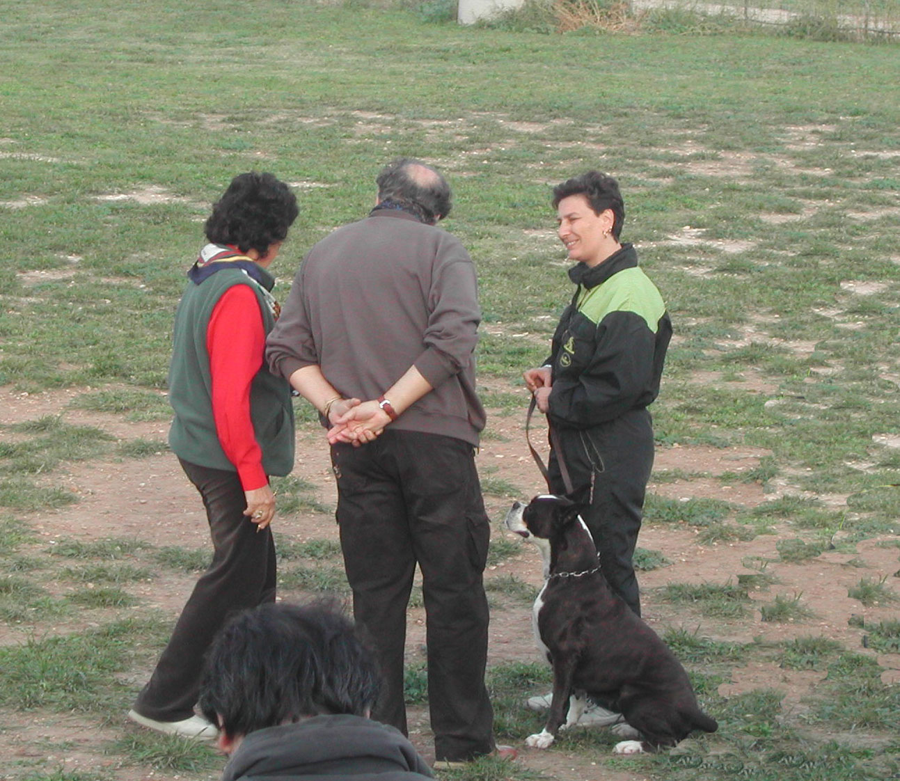 allevamento_cani_boxer_degli_scarronzoni_cuccioli_disponibili_livorno_toscana_italia