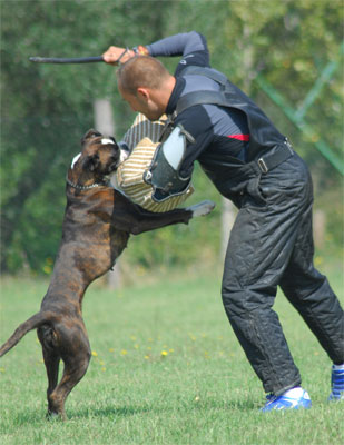 wonder_woman_degli_scarrozoni_cal_3_20_settembre_2008