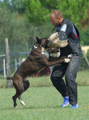 irish_degli_scarronzoni_attacco_ipo_3_prova_lavoro_la_pineta_20_settembre_2008