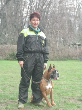 cuccioli_allevamento_cani_boxer_degli_scarronzoni_livorno_toscana_italia