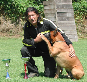 cuccioli_allevamento_cani_boxer_degli_scarronzoni_livorno_toscana_italia