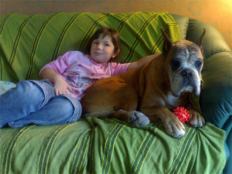 cuccioli_allevamento_cani_boxer_degli_scarronzoni_livorno_toscana_italia