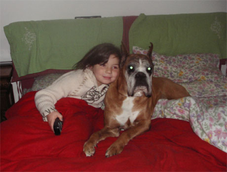 cuccioli_allevamento_cani_boxer_degli_scarronzoni_livorno_toscana_italia