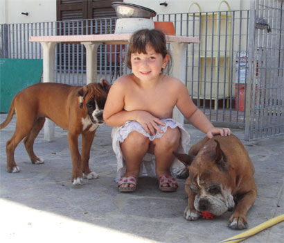 cuccioli_allevamento_cani_boxer_degli_scarronzoni_livorno_toscana_italia