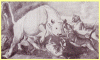 cani che attaccano un toro