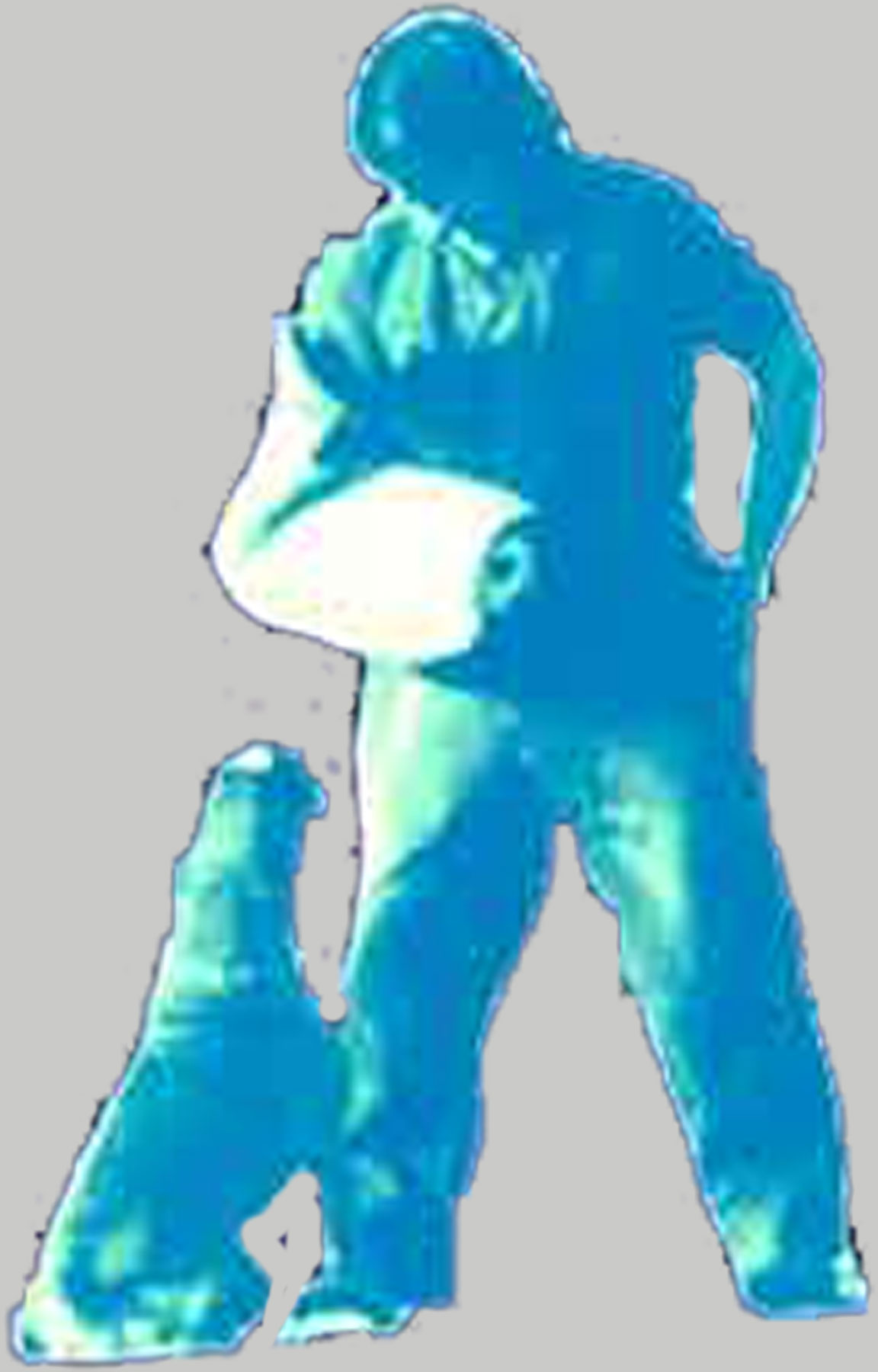 allevamento_cani_boxer_degli_scarronzoni_cuccioli_disponibili_livorno_toscana_italia