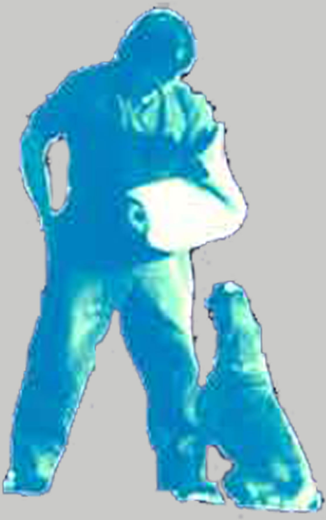 allevamento_cani_boxer_degli_scarronzoni_cuccioli_disponibili_livorno_toscana_italia
