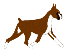 gif_boxer
